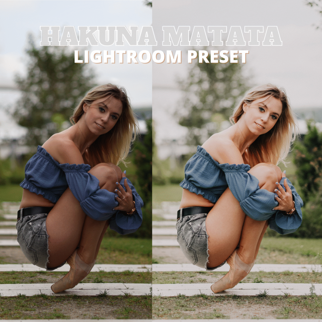 presety beżowy Świat [hit!]