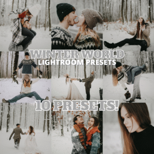 presets winter world